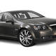 Illustration for article titled Aussies Want To Send Holden Sportwagon to the States